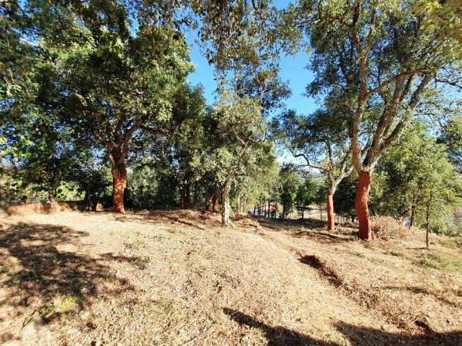 Image No.22-Land for sale