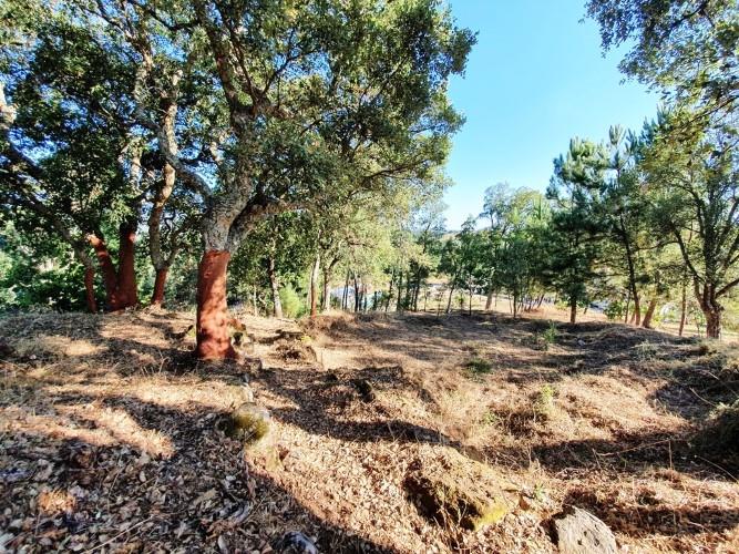 Image No.23-Land for sale