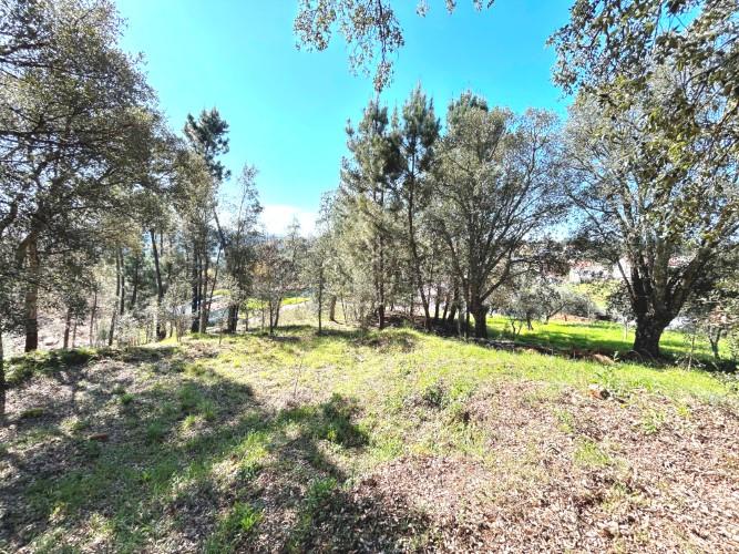 Image No.26-Land for sale