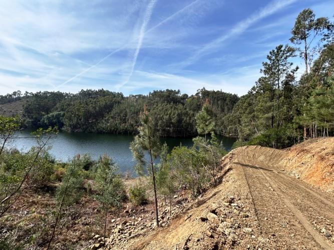 Image No.6-Terre à vendre à Pedrógão Grande