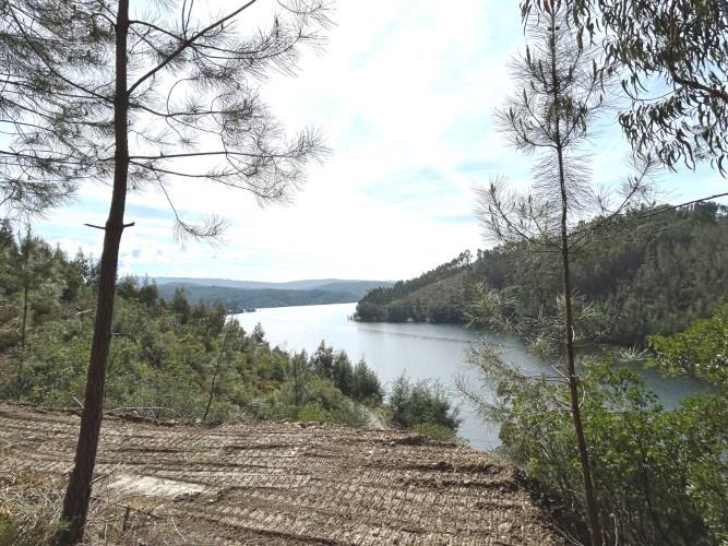 Image No.7-Terre à vendre à Pedrógão Grande