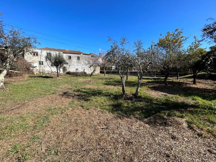 Image No.5-4 Bed Country House for sale