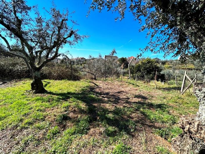 Image No.34-4 Bed Country House for sale