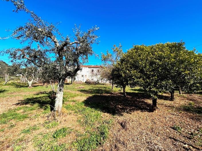 Image No.35-4 Bed Country House for sale