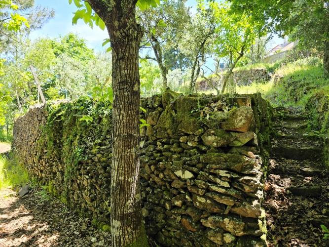 Image No.35-3 Bed House for sale