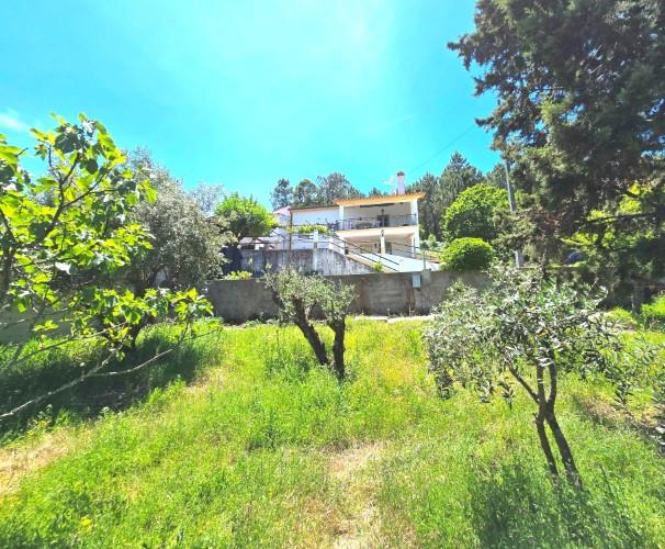 Image No.36-3 Bed House for sale