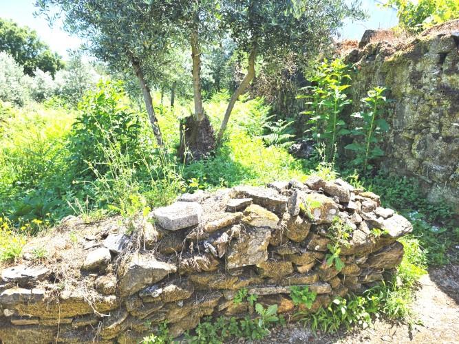 Image No.24-2 Bed Village House for sale