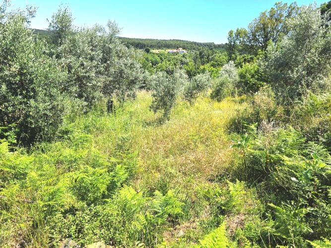 Image No.25-2 Bed Village House for sale