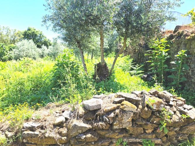 Image No.26-2 Bed Village House for sale