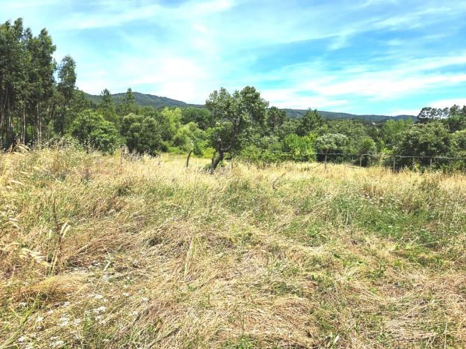 Image No.16-Village House for sale