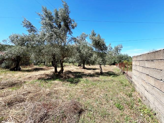 Image No.37-3 Bed Village House for sale