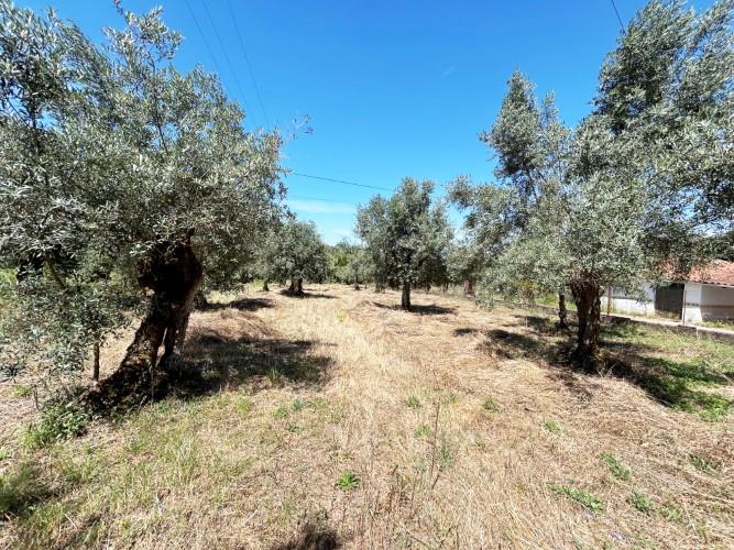 Image No.43-3 Bed Village House for sale