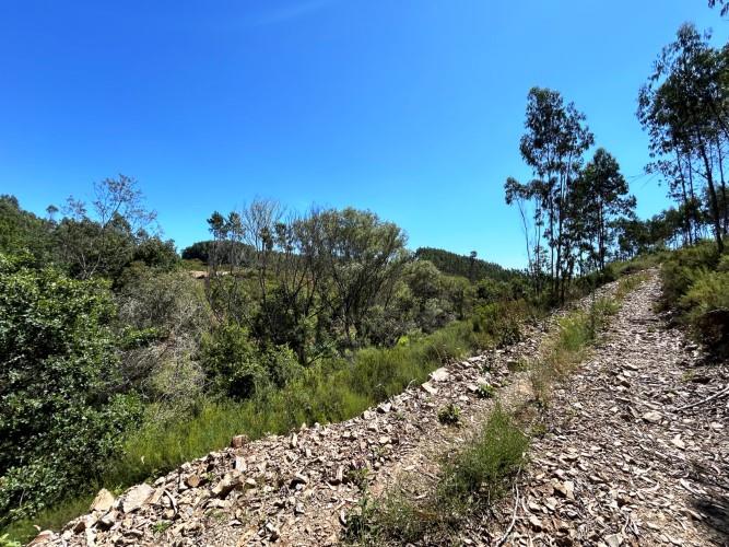 Image No.3-Land for sale