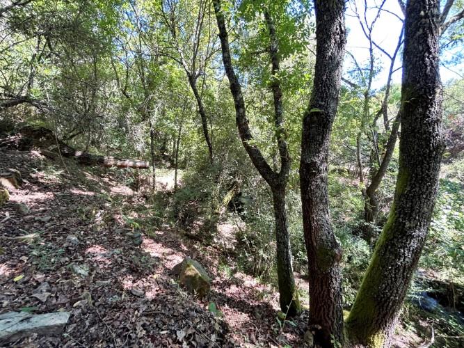 Image No.6-Land for sale