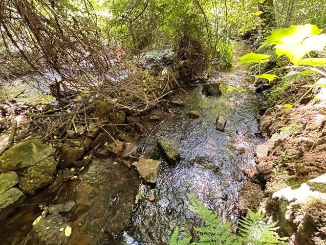 Image No.9-Land for sale