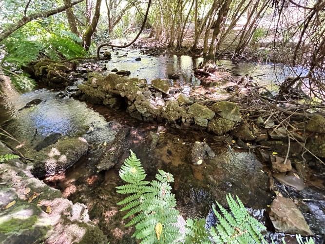 Image No.10-Land for sale