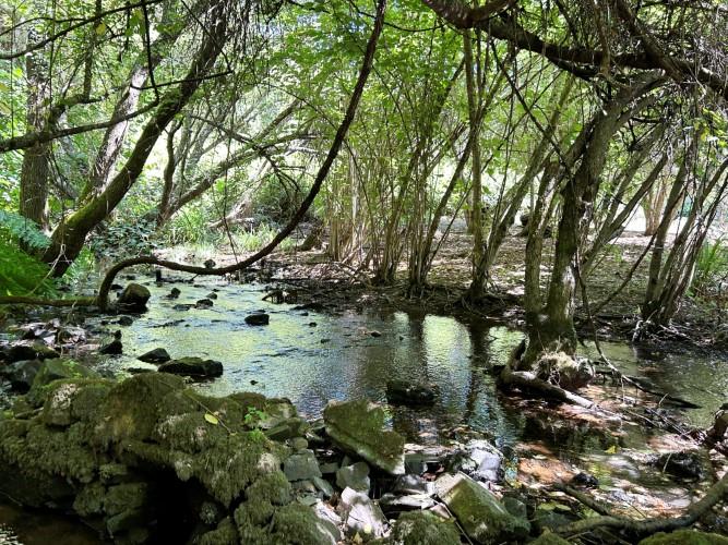 Image No.11-Land for sale