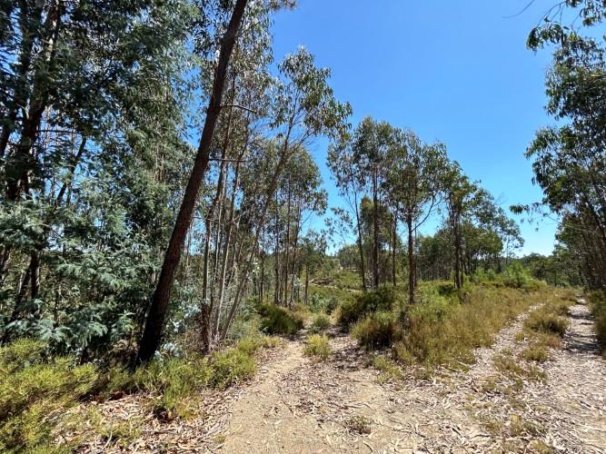 Image No.16-Land for sale