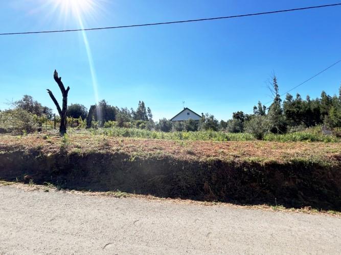 Image No.5-Land for sale