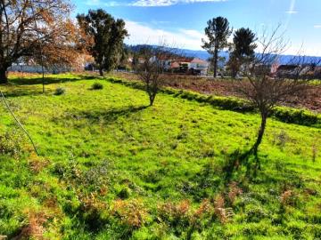 1 - Pedrógão Grande, Terre