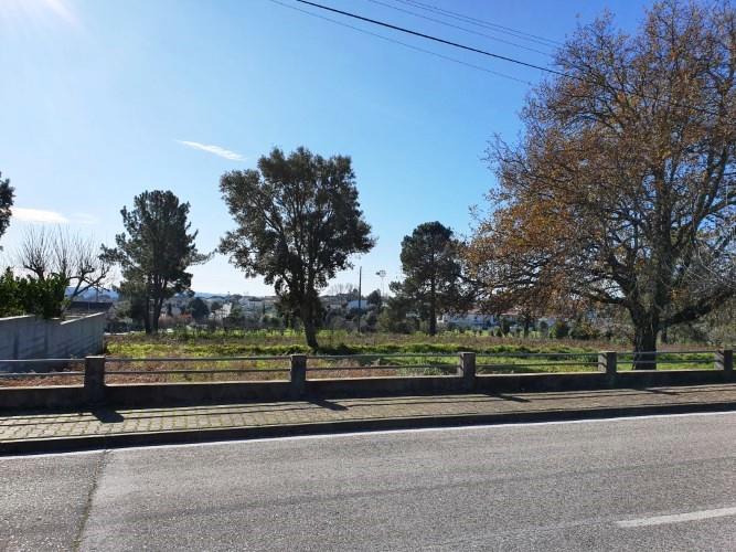 Image No.9-Land for sale