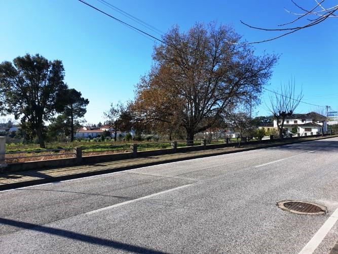 Image No.11-Land for sale