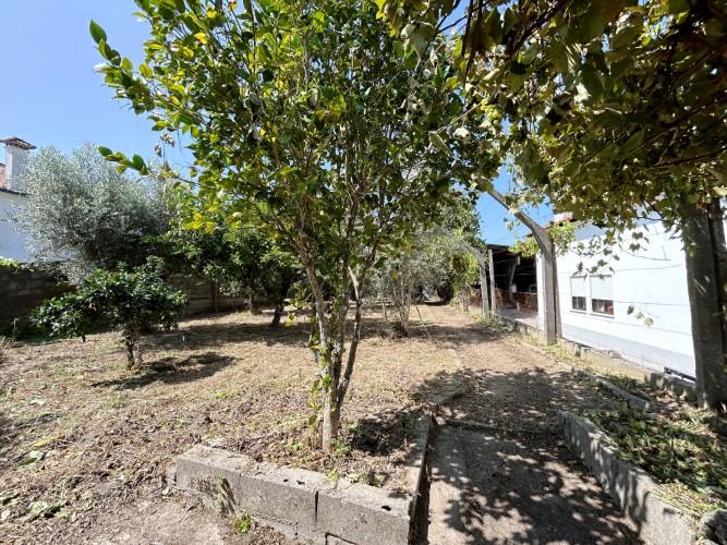 Image No.5-Land for sale