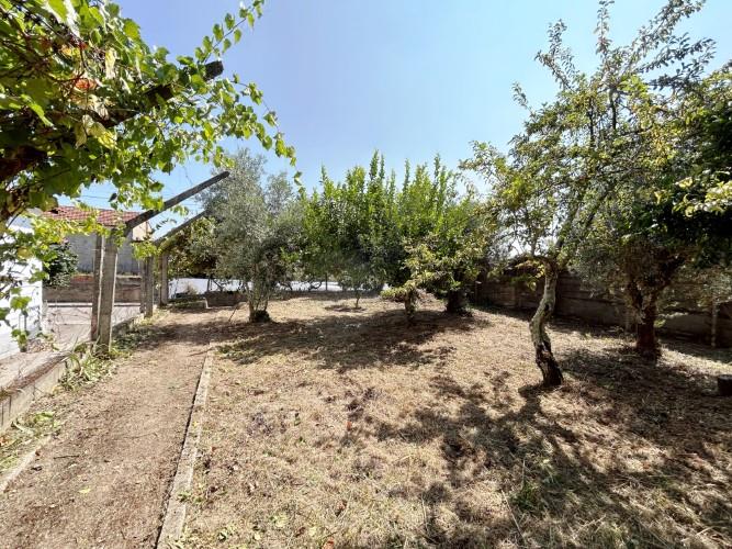 Image No.3-Land for sale