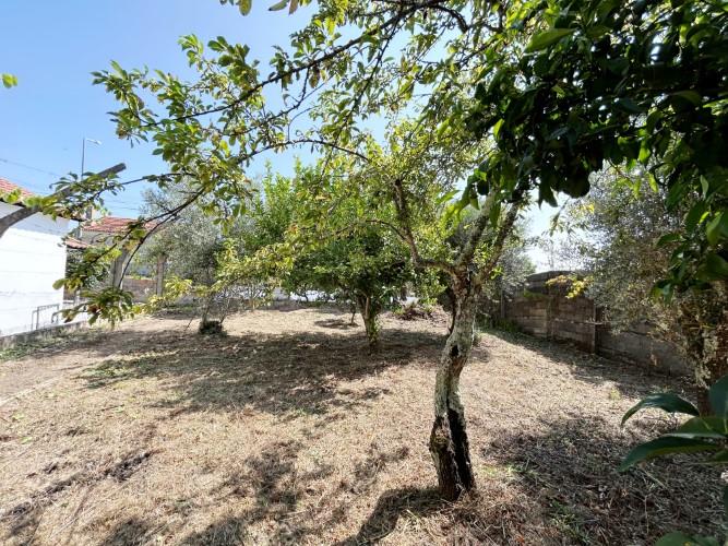 Image No.7-Land for sale