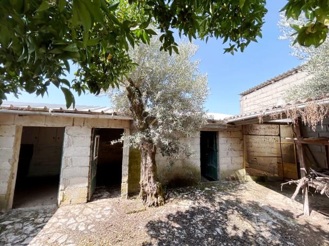 Image No.9-Land for sale