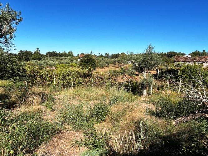 Image No.17-1 Bed Village House for sale