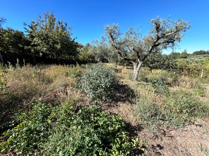 Image No.18-1 Bed Village House for sale