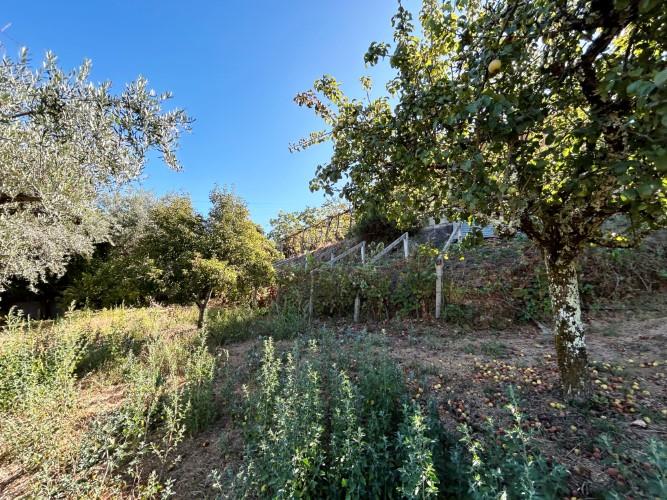 Image No.19-1 Bed Village House for sale