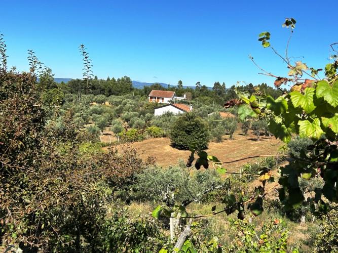 Image No.21-1 Bed Village House for sale