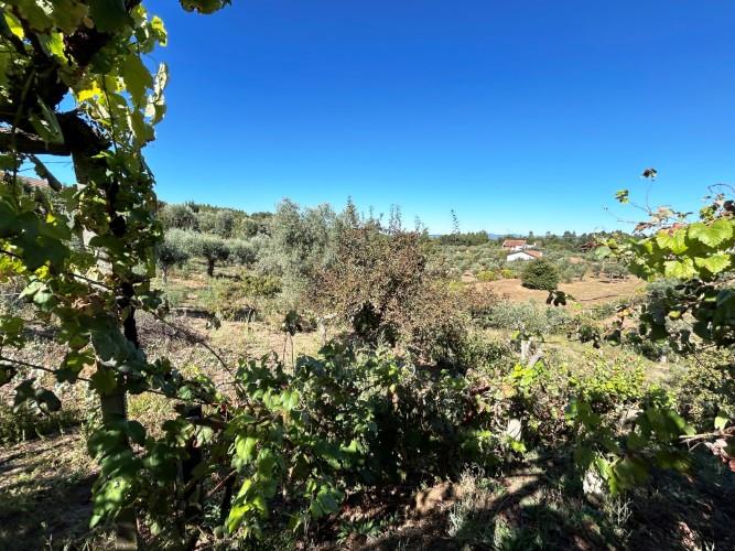 Image No.22-1 Bed Village House for sale