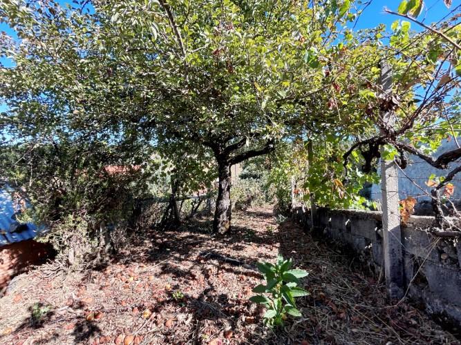 Image No.24-1 Bed Village House for sale