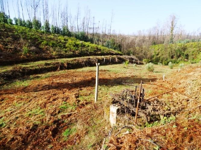 Image No.2-Land for sale