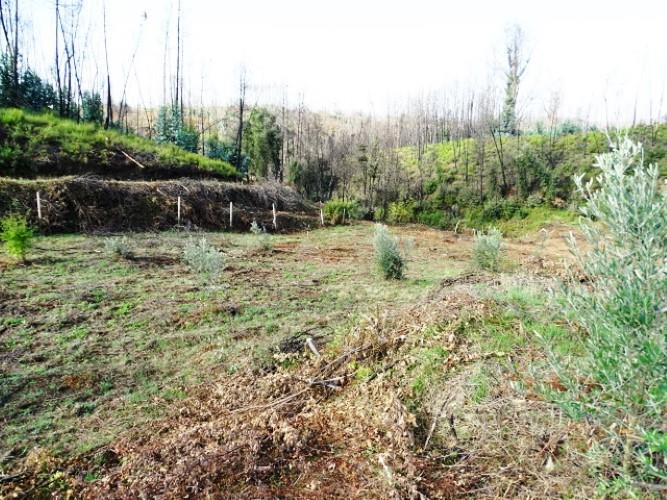 Image No.5-Land for sale