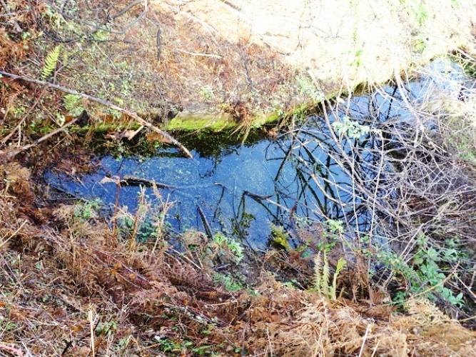 Image No.8-Land for sale