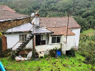 1---1264--NEW---Custom-