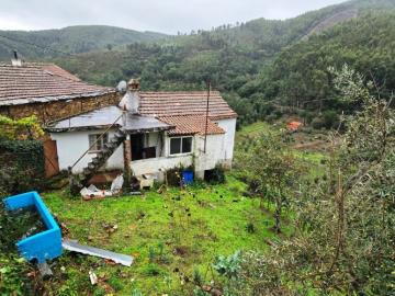 2---1264--NEW---Custom-