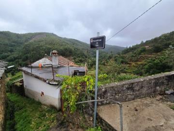 5---1264--NEW---Custom-