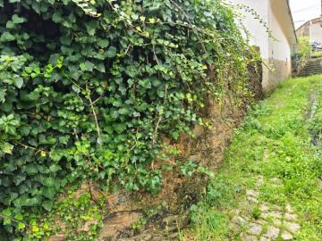 7---1264--NEW---Custom-