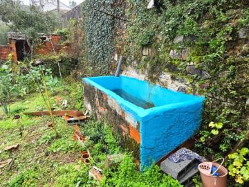 8---1264--NEW---Custom-