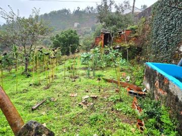 9---1264--NEW---Custom-