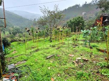 10---1264--NEW---Custom-