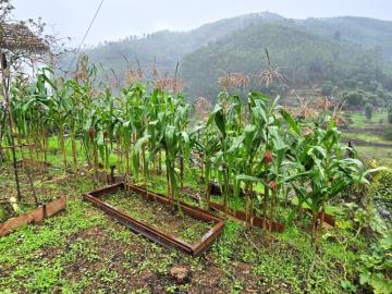 11---1264--NEW---Custom-