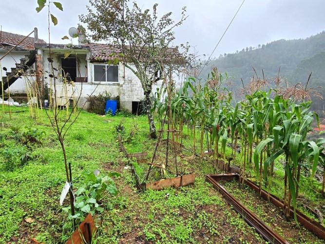 Image No.12-2 Bed Village House for sale