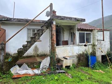 14---1264--NEW---Custom-