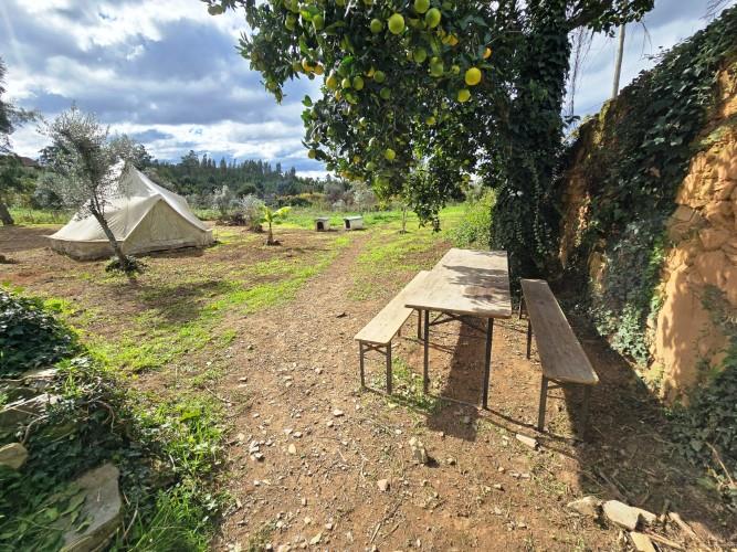 Image No.2-Ferme à vendre à Pedrógão Grande